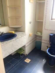 Hua Xin Court (D15), Condominium #371313681